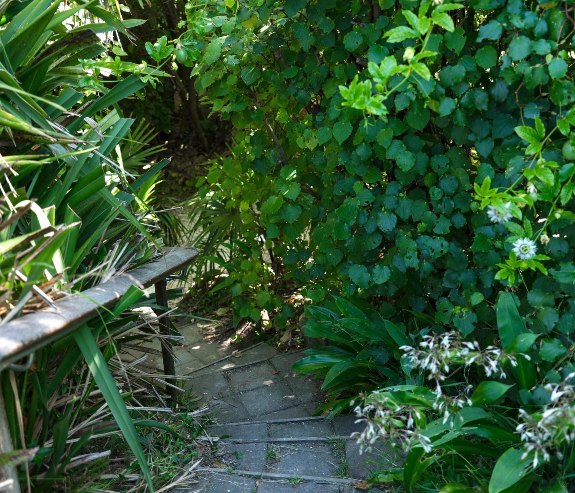 House Of Pania Bnb Napier Exterior photo